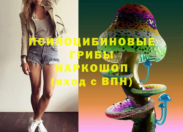 бошки Алексеевка